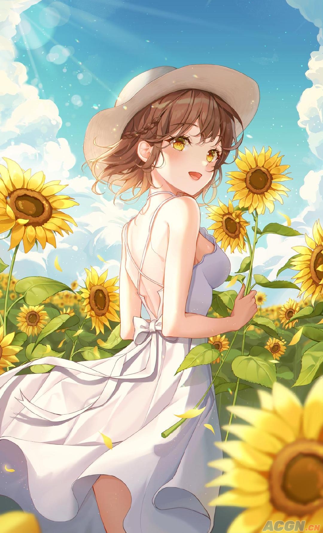 向日葵之恋