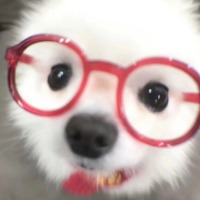 liyou里里